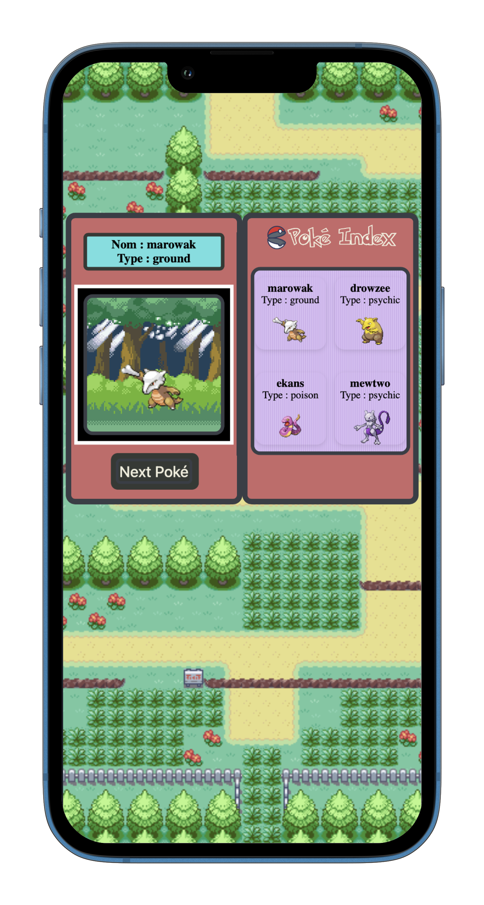 Capture d'écan du projet PokéIndex développé en JS, HTML, CSS